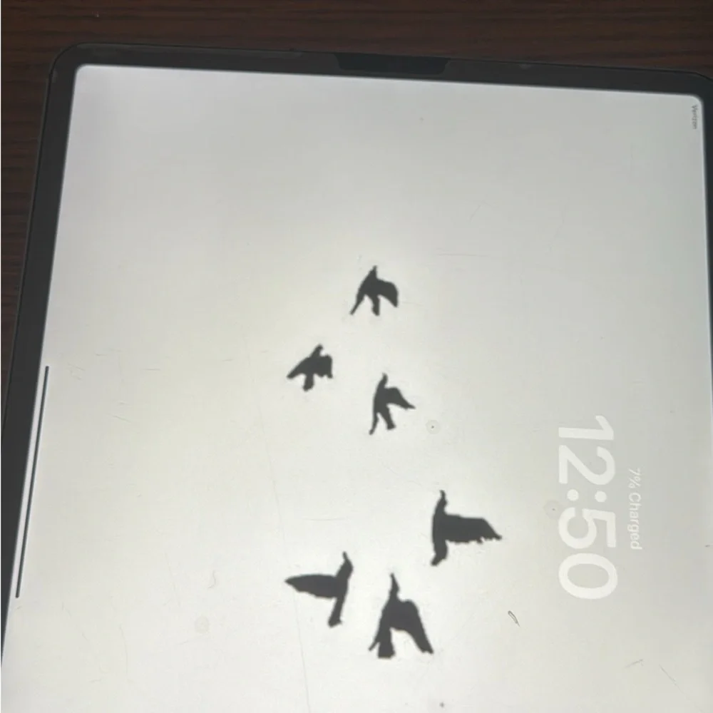 Apple Tablet - Black and White